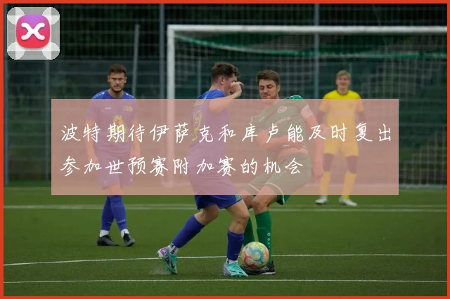 波特期待伊萨克和库卢能及时复出参加世预赛附加赛的机会