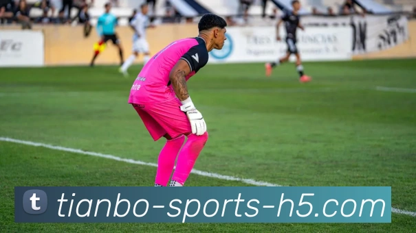 天博体育平台生态图