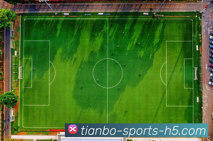 天博体育APP 封面图